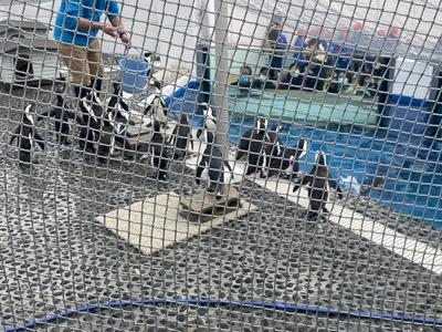 A872588E-FC12-432C-B508-823731ABAEEA