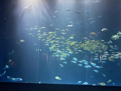 9AF4D994-1E2B-41DA-A6DA-B6507CD70F60