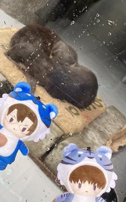 E9015CC6-807E-4B08-9AD6-B8D06BD25938