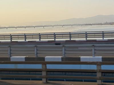 E0FE1AF2-027F-4E3D-856E-F91FCDB5F438