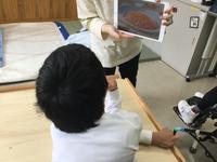 53683E31-251D-4F8D-9310-78FDC8095BEF