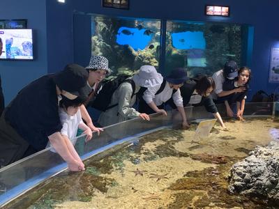 タッチプール DB0A7403-553B-4223-AC54-92A4D4C777D5