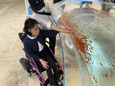 金魚の水槽 864D9875-F20C-4235-B625-C0FBB2A982A7