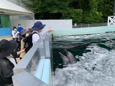 イルカの餌やり体験 A7A8DDAF-165B-42E7-B4DE-3ACC8A8CCBC4