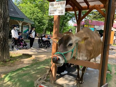 47D2938B-25A2-4DCB-9FD0-4E9956324079