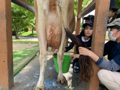 D2B78BED-EF39-48D7-B969-8A5E0860C819