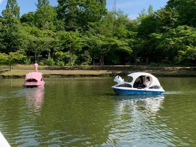 4C45DCC1-A121-40A8-8335-525158E44986