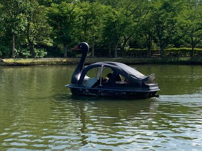 2C999DE8-1F05-4487-BD84-8C1A13C115A4