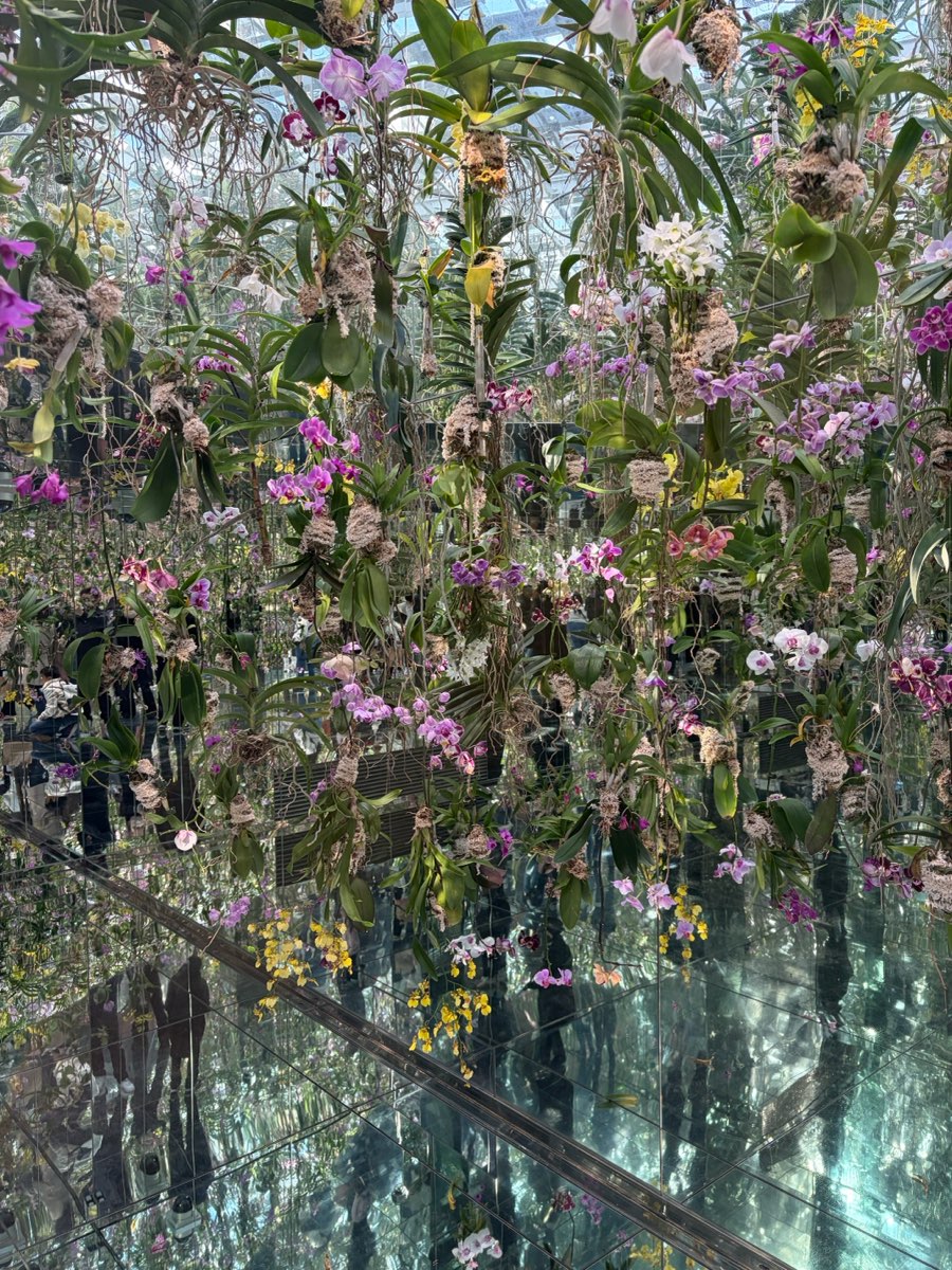 4_D34FA43E9545651B4FE1E1ADBD936623ADEF359F