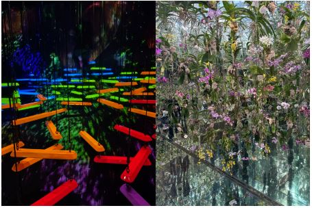 キャプチャ.JPG2