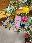 願い事の笹