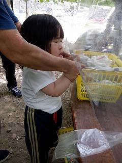 収穫したぶどうを見ています