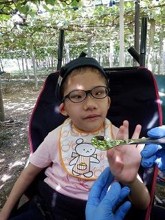 外でぶどうを食べています