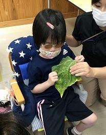 生徒が葉っぱのざらざらに触れています