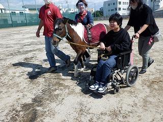 生徒がポニーの手綱を引いて運動場を一周している様子