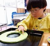 幼児が指で画用紙にスタンプしている写真