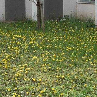 EFFA04DE-64D9-4694-A4C2-2D883128F5CD