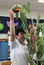 生徒が大きなひまわりの花に触れています